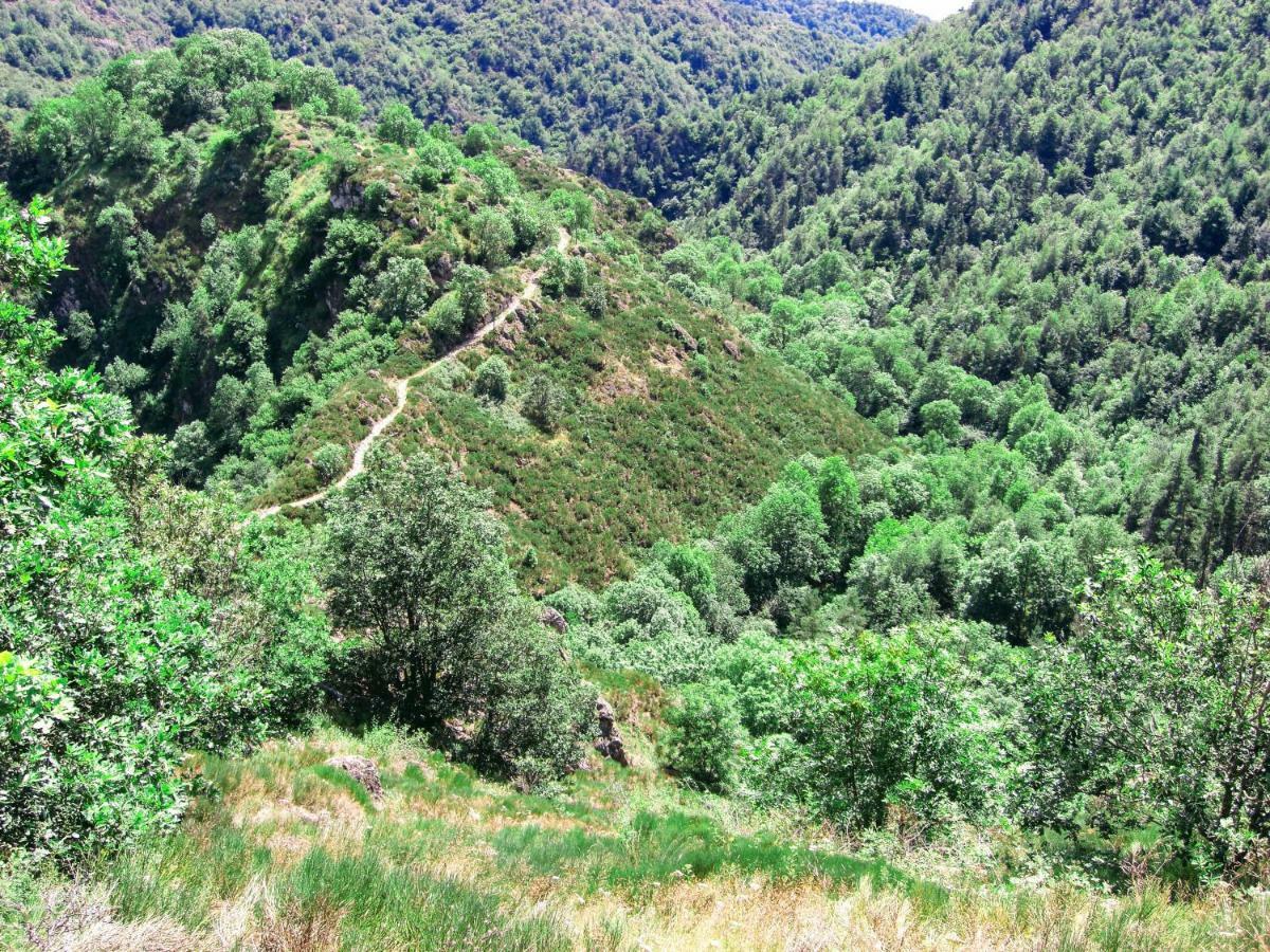 Vila Le Bos Clard Félines Exteriér fotografie
